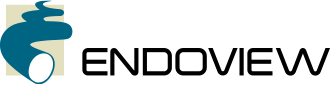 Endoview